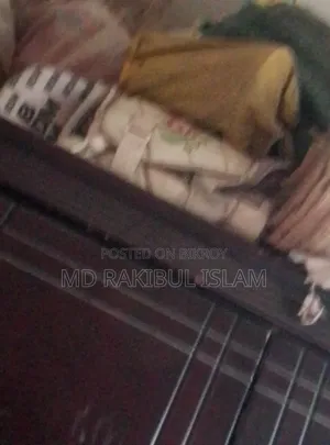 I have some cricket equipment, you can take it if you want