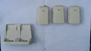 ডিজিআই ফ্লিপ ব্যাটারি