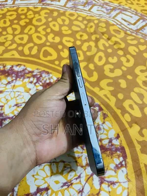 অ্যাপল আইফোন ১৩ প্রো ম্যাক্স ১২৮ জিবি নীল