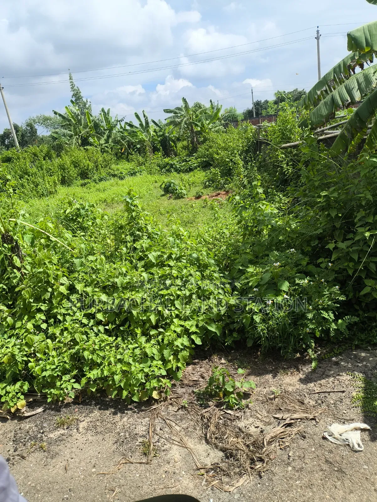 49.69 Katha land for sale near Purbachal to Jolsiri 150-foot road