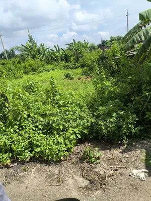 49.69 Katha land for sale near Purbachal to Jolsiri 150-foot road