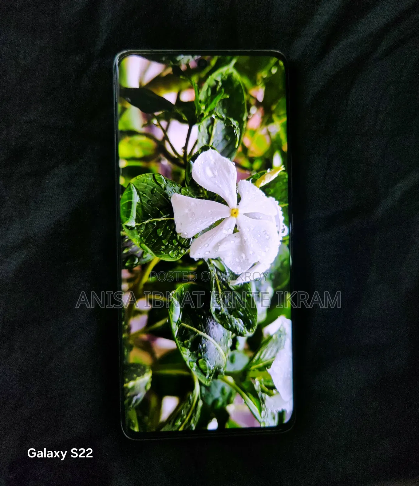 Xiaomi 13 Ultra (China) 512 GB Green