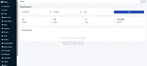 Professional Ecommerce Website