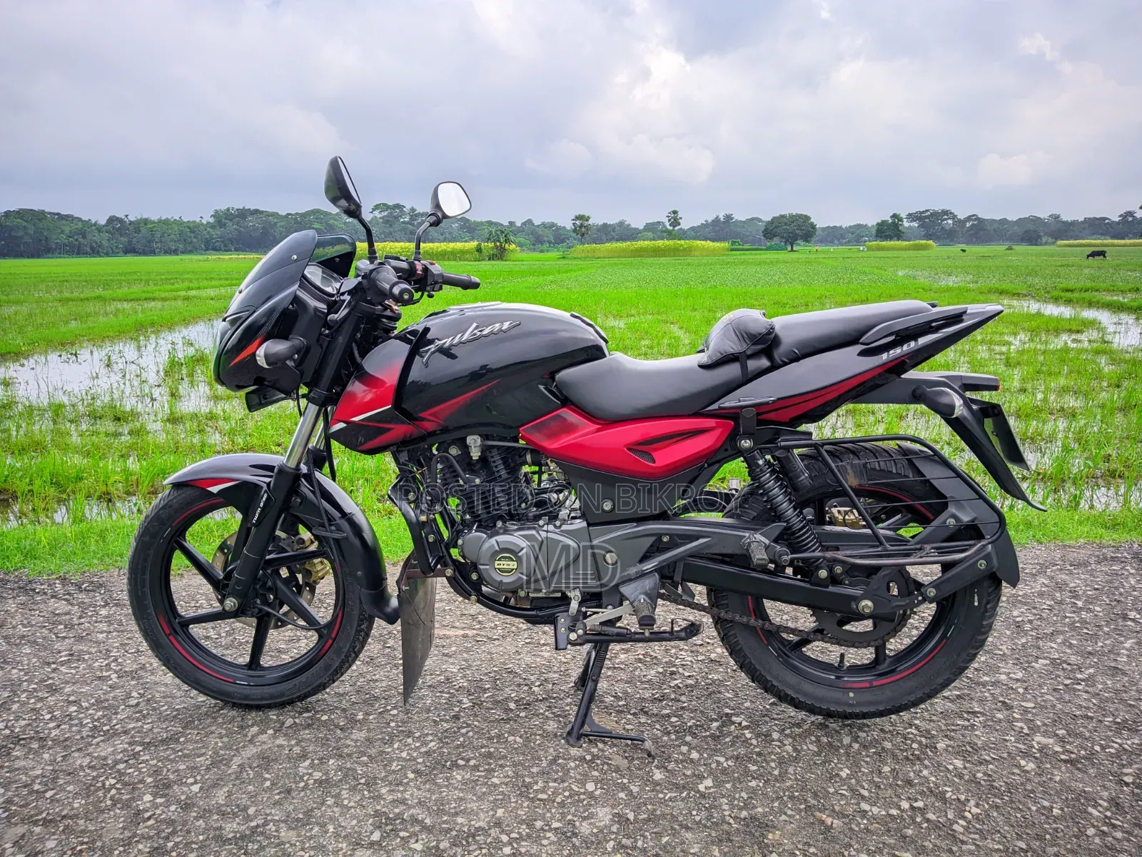 Bajaj Pulsar 150 2019 Black