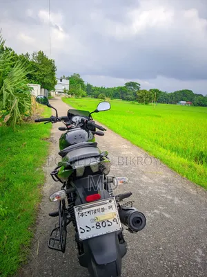 Bajaj Pulsar 150 2019 Black