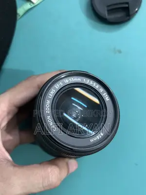 Canon 18-55 STM Lens