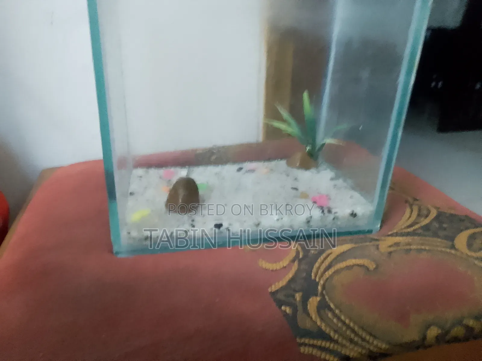 Fish Tank Full Setup (Price Fixed) No Bargaining