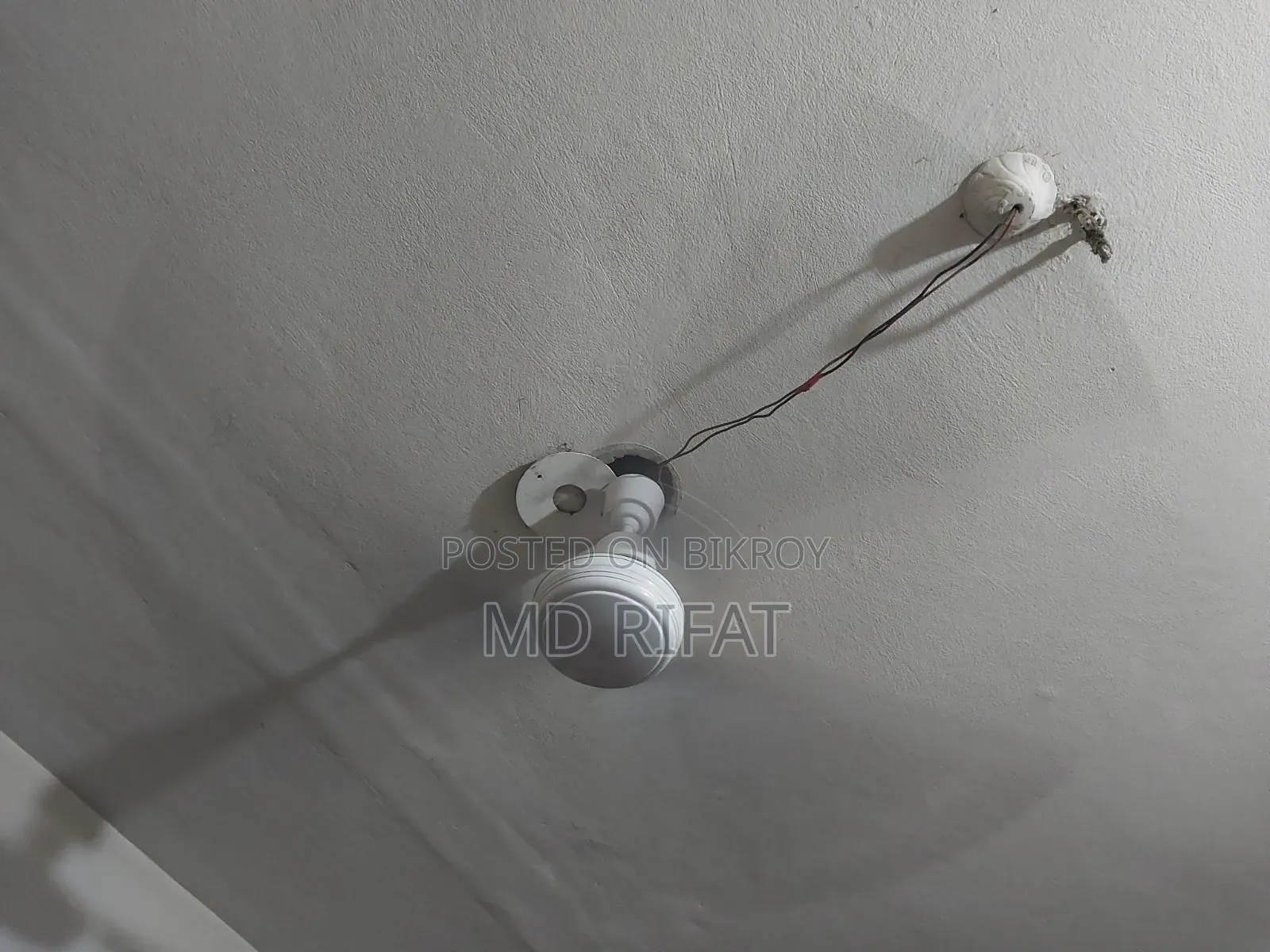 (Orient) International Brand Ceiling Fan সিলিং ফ্যান