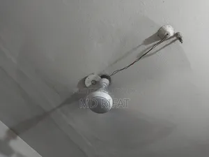 (Orient) International Brand Ceiling Fan সিলিং ফ্যান