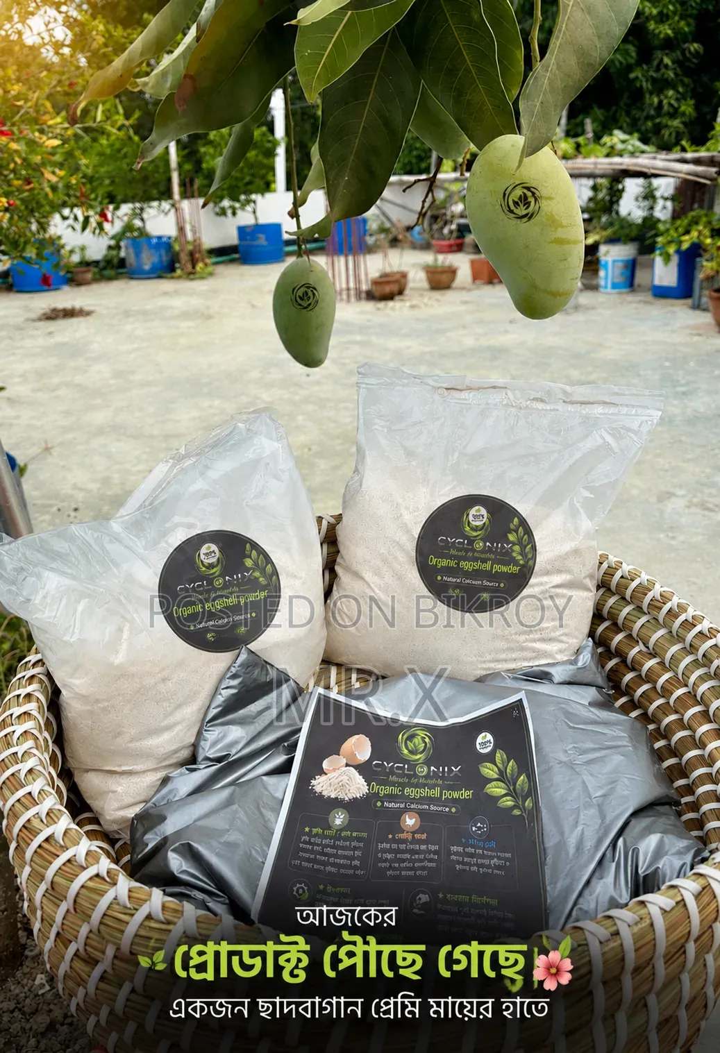 Cyclonix Eggshell Calcium Powder