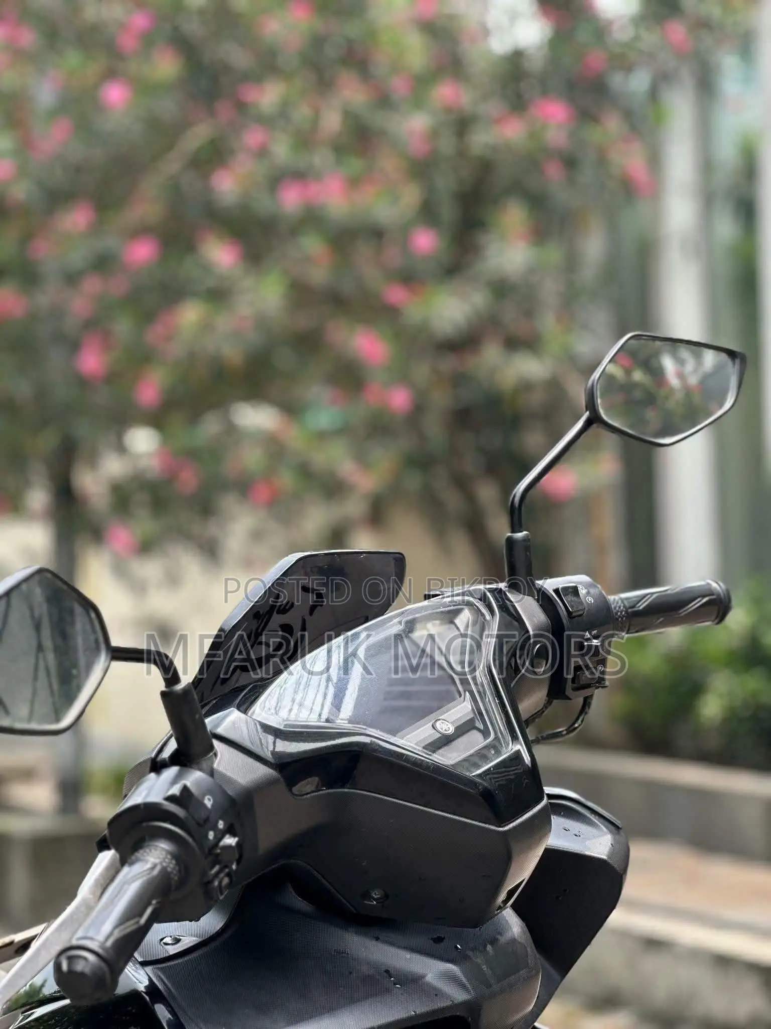 Yamaha 2024 Black