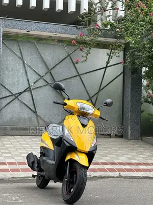 Runner Kite + 110 2026 Yellow
