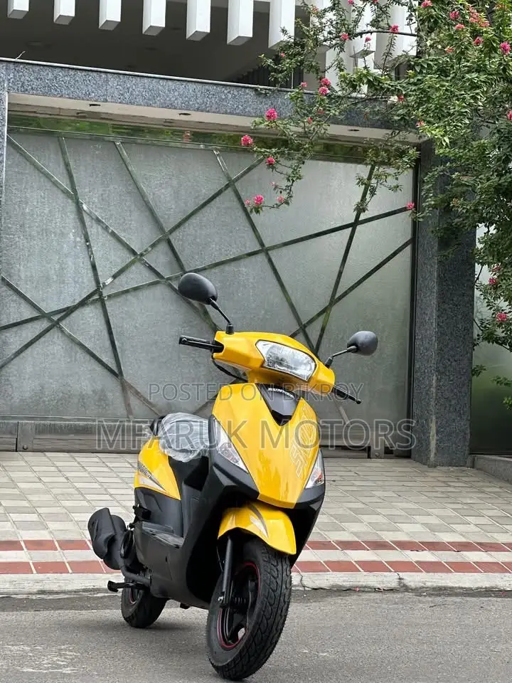 Runner Kite + 110 2026 Yellow