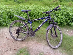 পুরাতন সাইকেল সব কিছু ভালো, কোনো সমস্যা নাই, দেখে নিতে পারবেন?