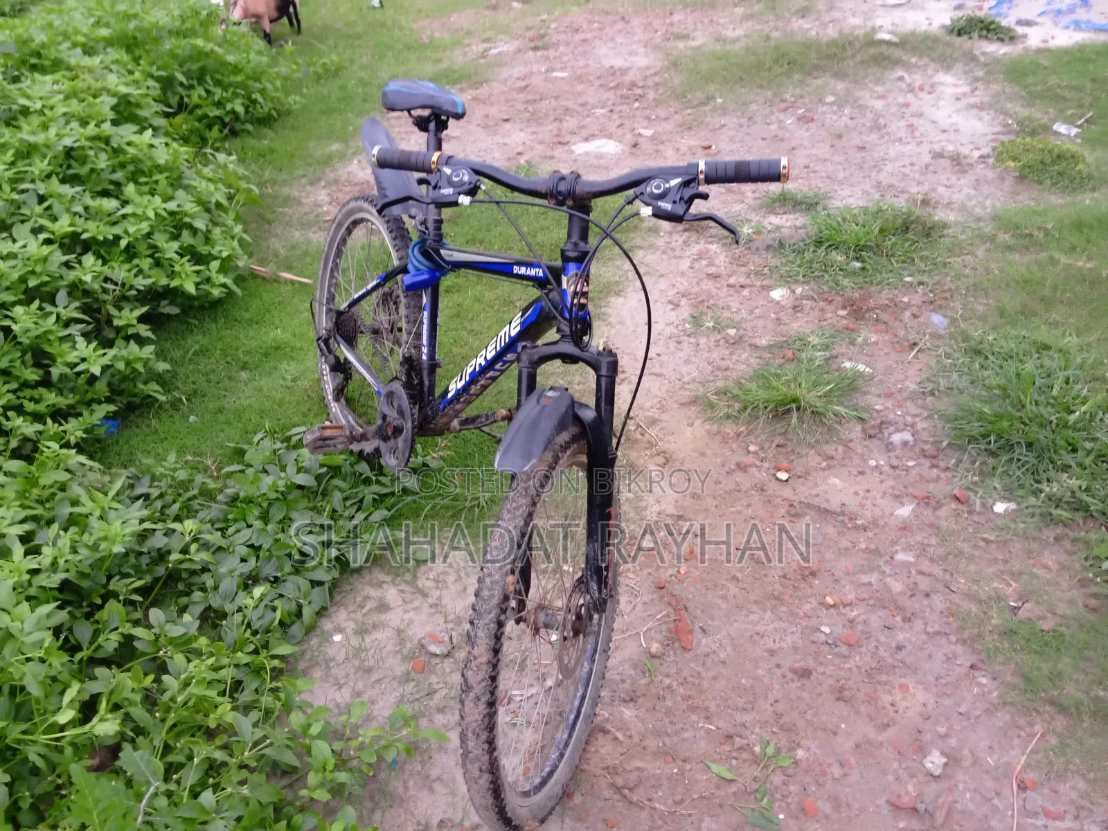 পুরাতন সাইকেল সব কিছু ভালো, কোনো সমস্যা নাই, দেখে নিতে পারবেন?
