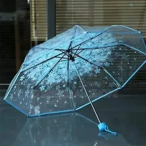 বৃষ্টির দিনে নিয়ে এলাম অসাধারন ছাতা