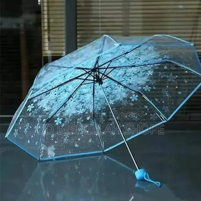বৃষ্টির দিনে নিয়ে এলাম অসাধারন ছাতা