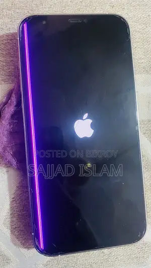 Apple iPhone 12 Pro Max 256 GB White