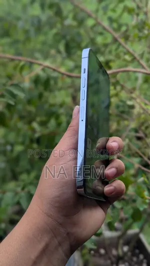 অ্যাপল আইফোন ১৩ প্রো ম্যাক্স ২৫৬ জিবি