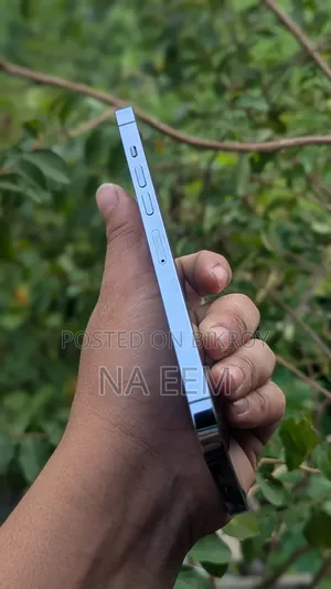 অ্যাপল আইফোন ১৩ প্রো ম্যাক্স ২৫৬ জিবি