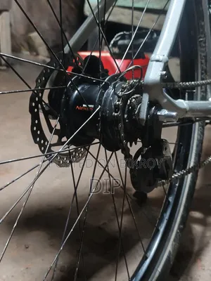 Bmw Bicycle