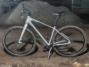Bmw Bicycle