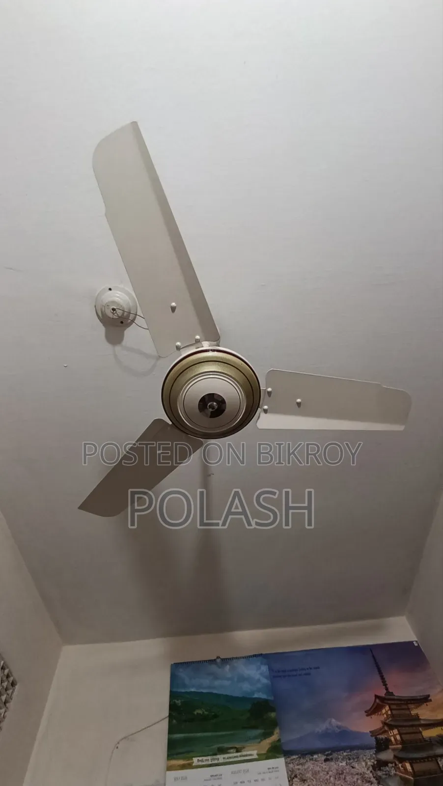 Ceiling Fan