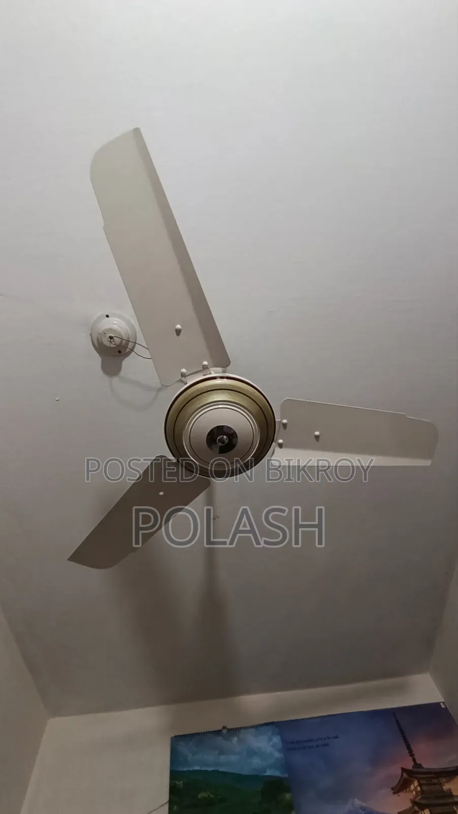 Ceiling Fan