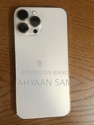 Apple iPhone 13 Pro Max 1 TB Gold