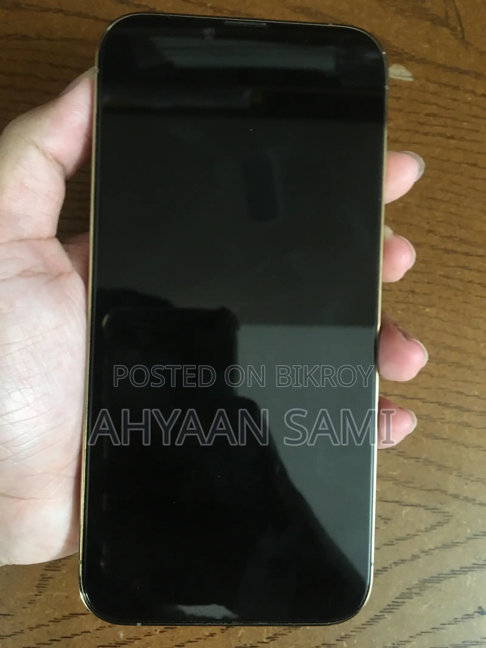 Apple iPhone 13 Pro Max 1 TB Gold