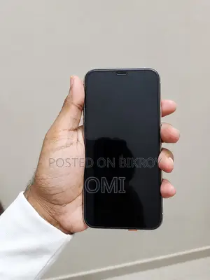 Apple iPhone 12 Pro 256 GB Silver