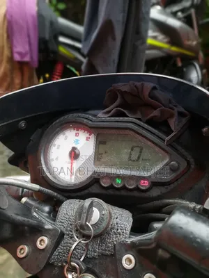 বাজাজ পালসার ১৫০ ২০২৫