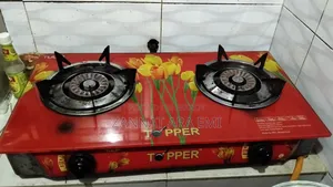 Gas Stove