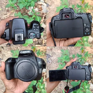 Canon 250d Only Body