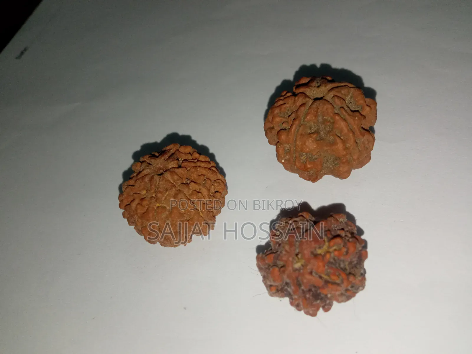 5 Rudraksha Beads