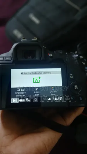 ক্যানন ২৫০ডি ক্যামেরা