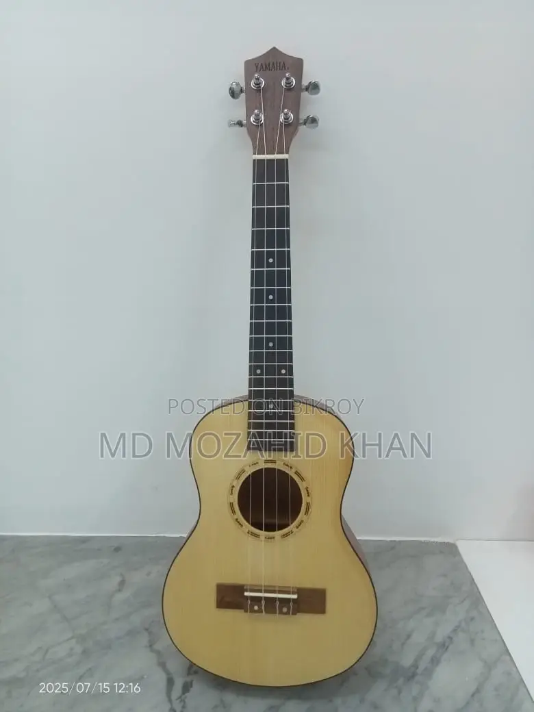 গিটার বিক্রি