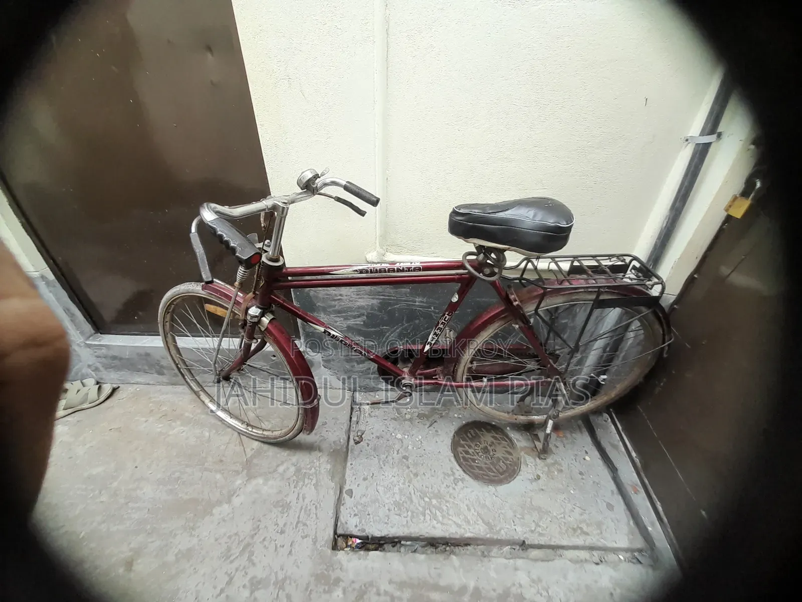 Duranta Cycle for Sale