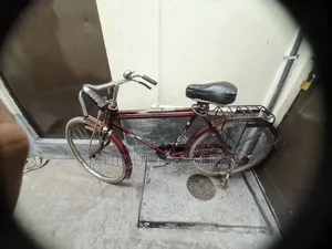 Duranta Cycle for Sale