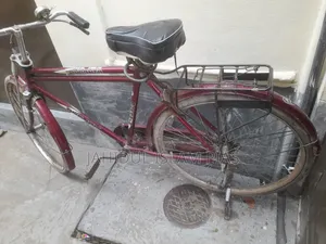 Duranta Cycle for Sale