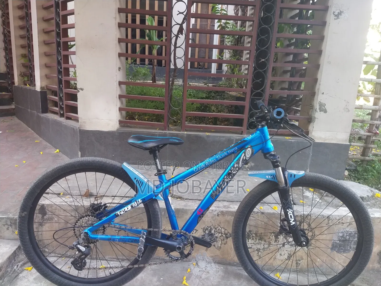 বাই সাইকেল