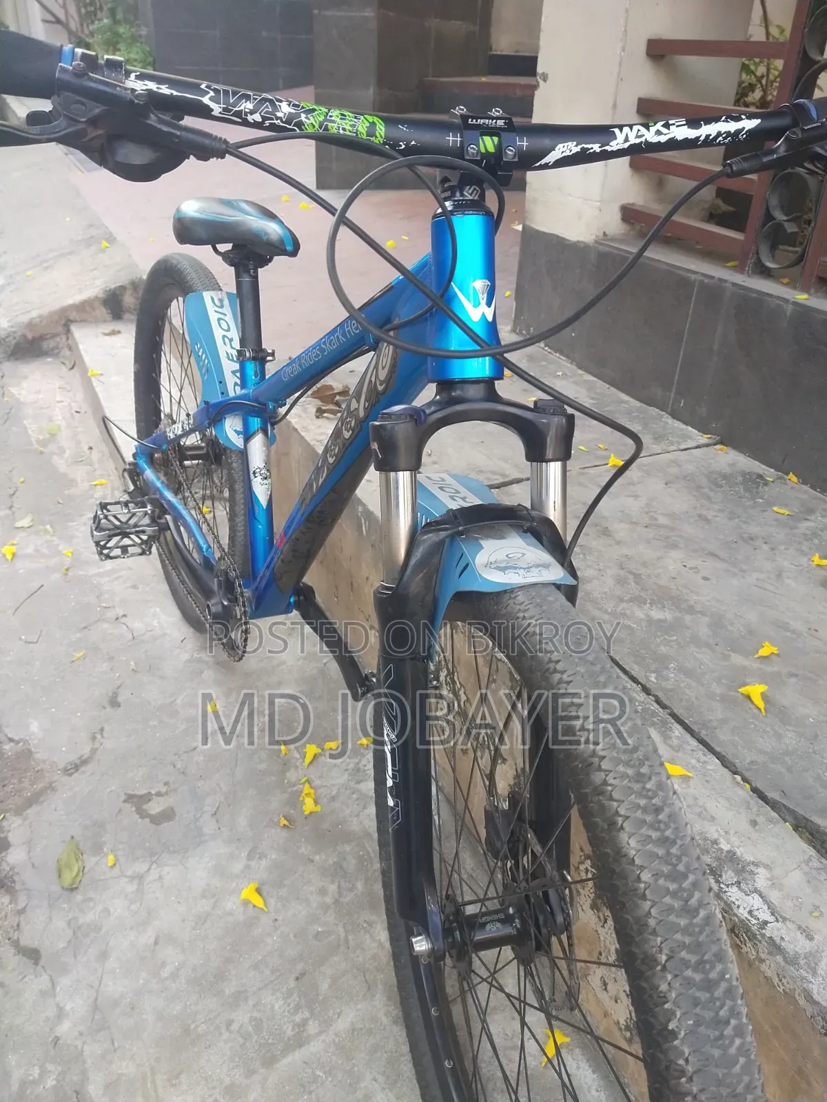 বাই সাইকেল