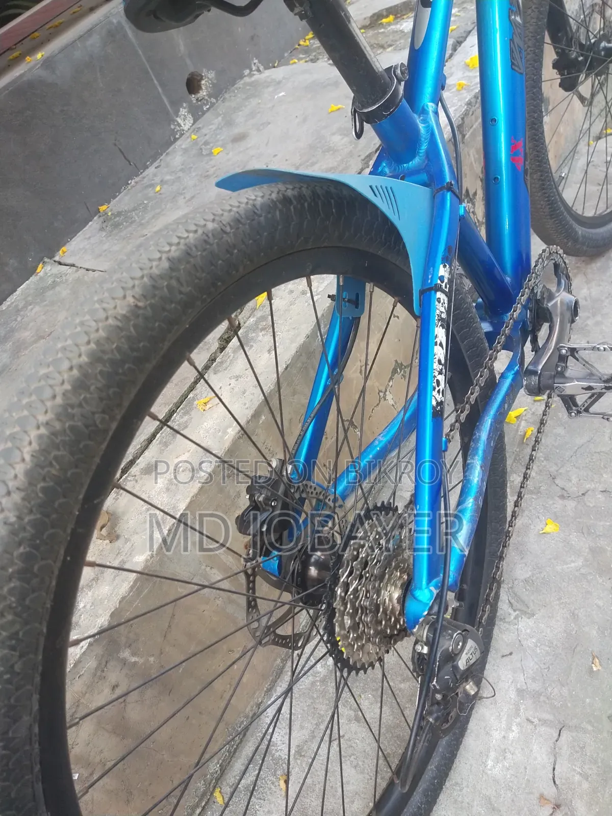 বাই সাইকেল