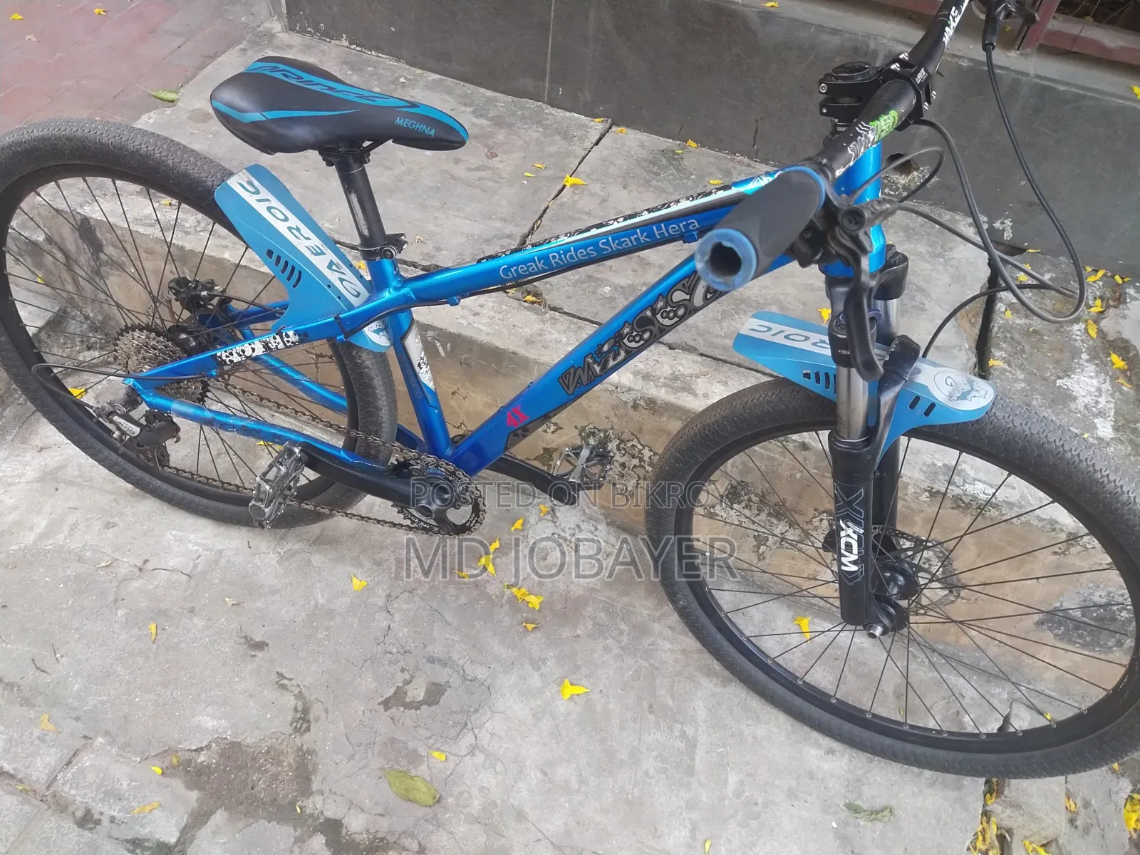 বাই সাইকেল