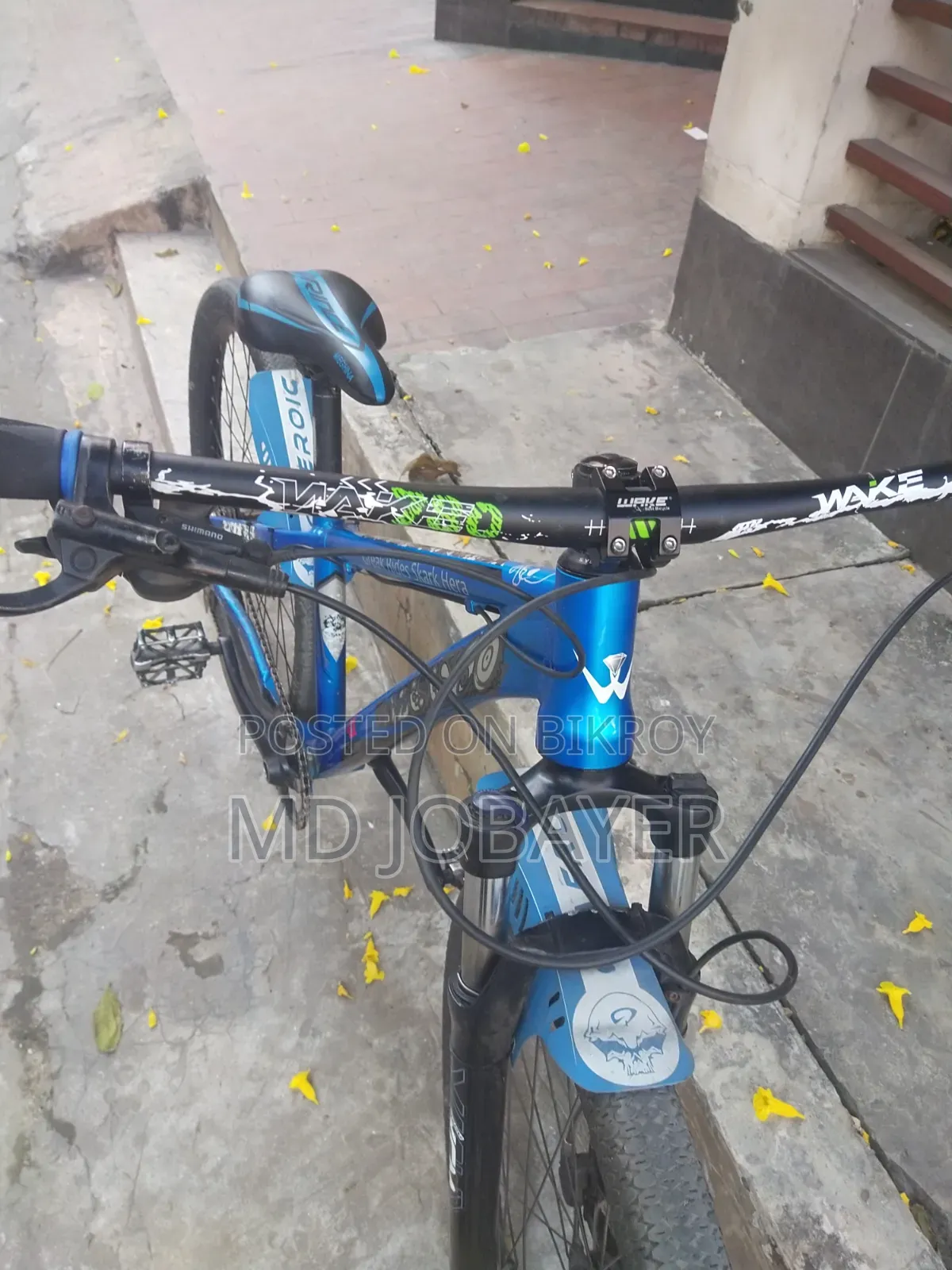 বাই সাইকেল