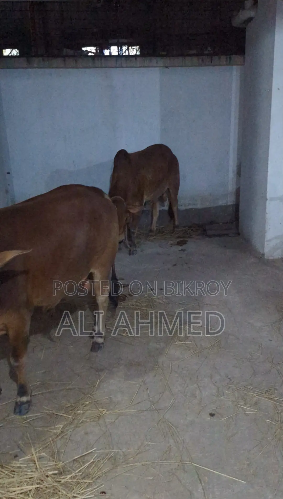 ৩ বেডরুমের অ্যাপার্টমেন্ট ঢাকা, খিলগাঁওয়ে বিক্রয়ের জন্য