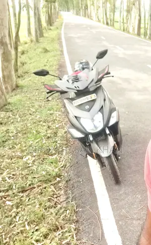 Yamaha 2025 Gray