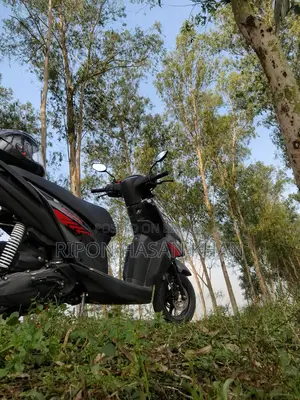Yamaha 2025 Gray