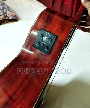 গাসন প্রিমিয়াম অ্যাকোস্টিক বিক্রয় হবে