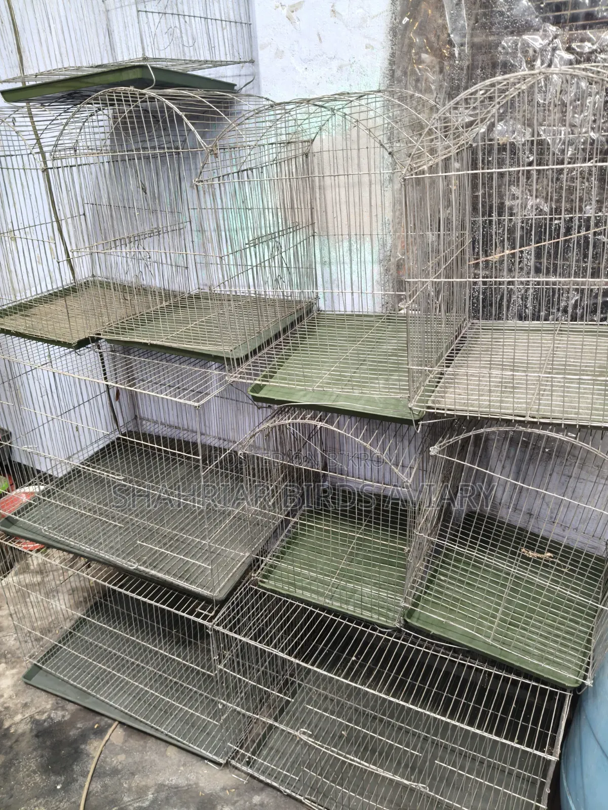 Bird and Pigeon Cage